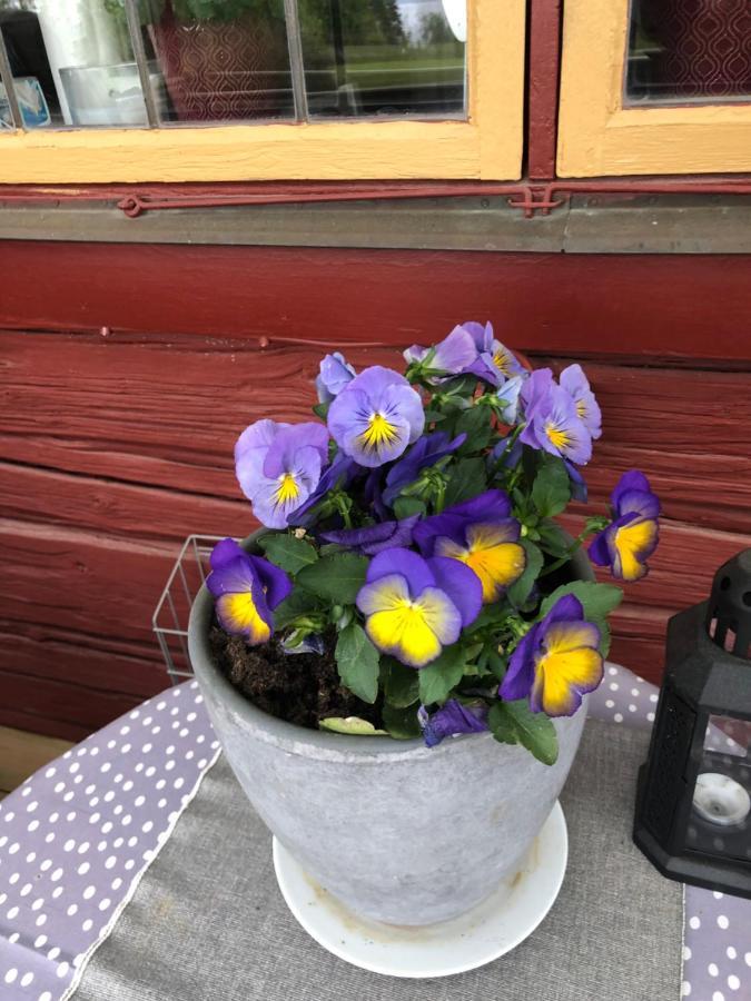 Mysigt Boende I Raettvik Med Utsikt Oever Siljan Exteriér fotografie