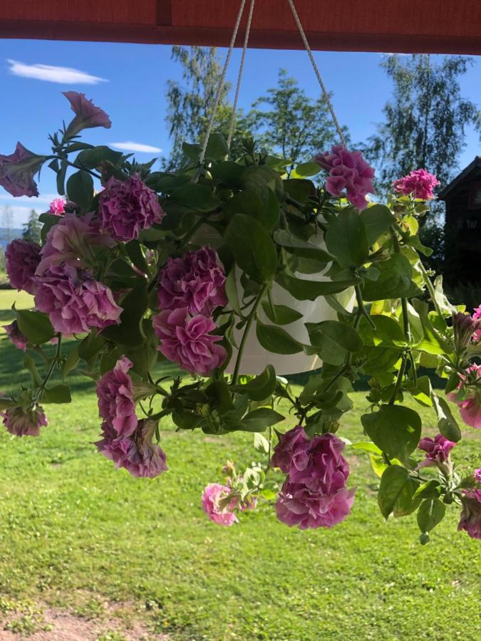 Mysigt Boende I Raettvik Med Utsikt Oever Siljan Exteriér fotografie