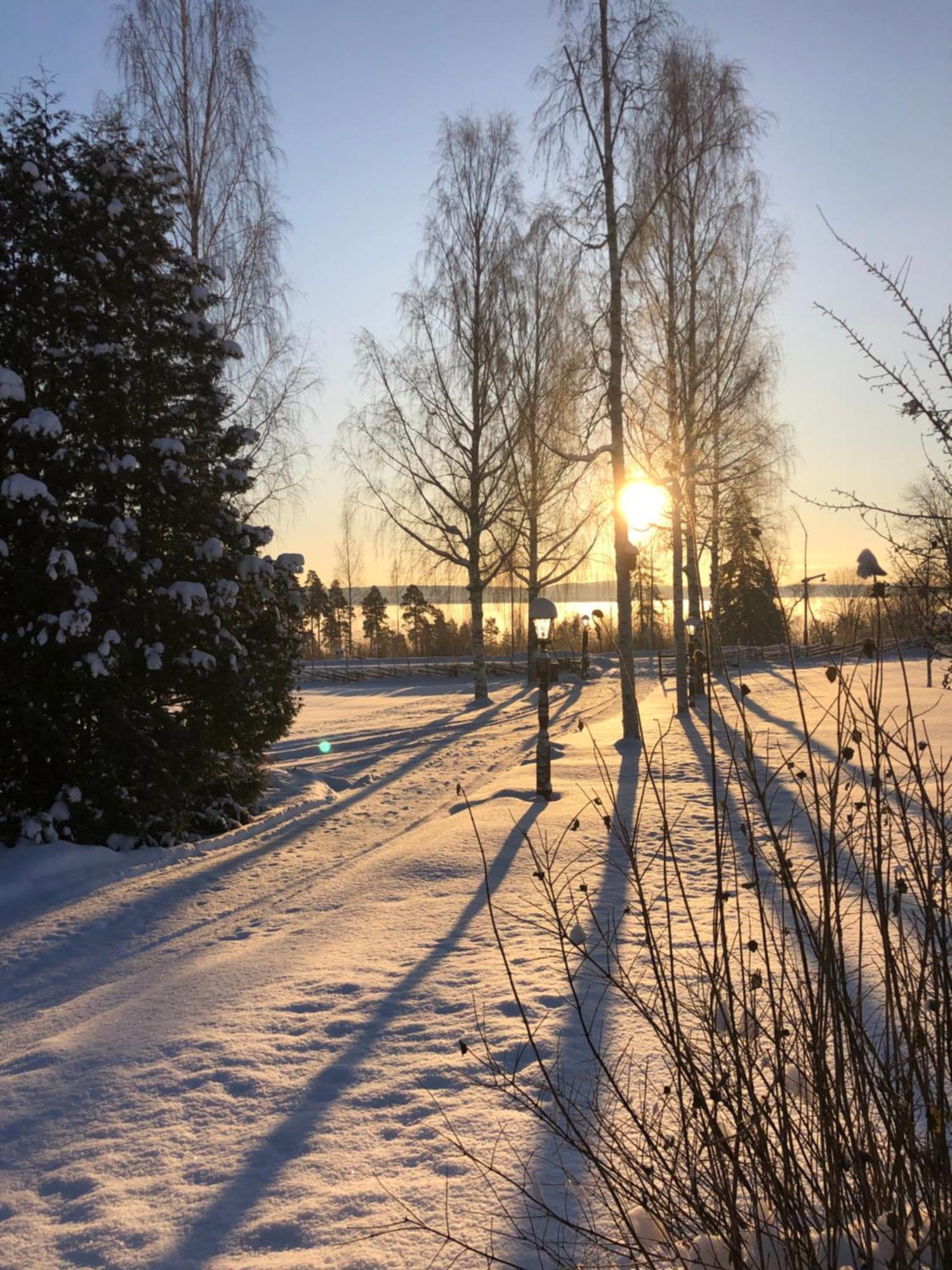 Mysigt Boende I Raettvik Med Utsikt Oever Siljan Exteriér fotografie